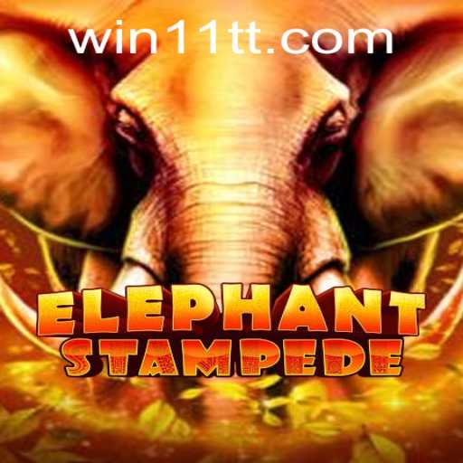 Exploring the Exciting World of ElephantStampede